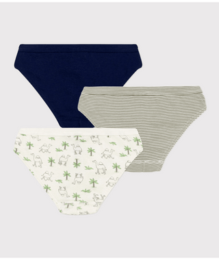 BOY'S COTTON DROMEDARY PATTERNED BRIEFS - 2-PACK