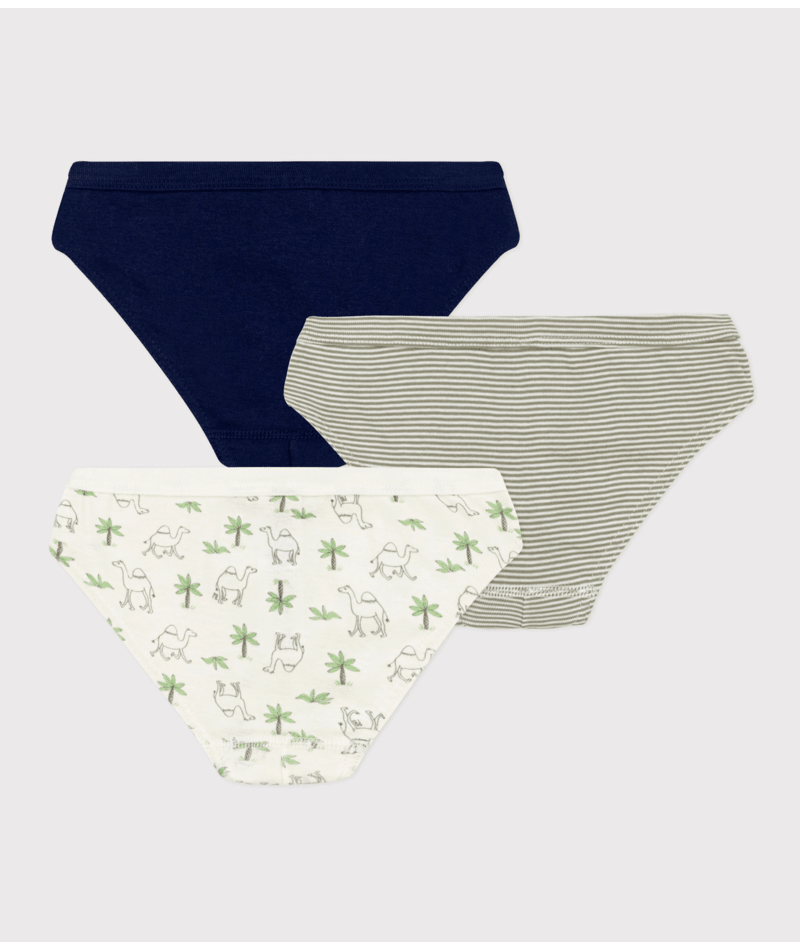 BOYS' COTTON DROMEDARY PATTERNED BRIEFS - 3-PACK