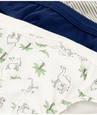 BOY'S COTTON DROMEDARY PATTERNED BRIEFS - 2-PACK