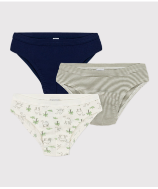 BOY'S COTTON DROMEDARY PATTERNED BRIEFS - 2-PACK