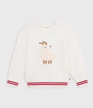 BOY'S WOOL AND COTTON JUMPER