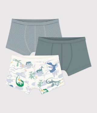BOY'S DRAGON PRINT COTTON BOXERS WITH WAISTBAND -3-PACK