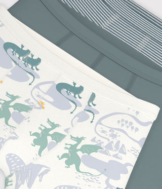 BOY'S DRAGON PRINT COTTON BOXERS WITH WAISTBAND -3-PACK
